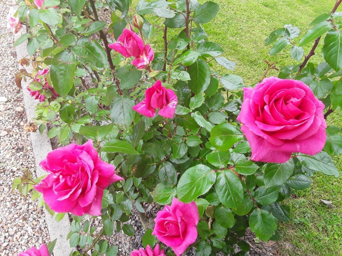 Bed & Breakfast La Cle De Saule